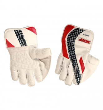 MRF WICKET KEEPING GLOVE WARRIOR